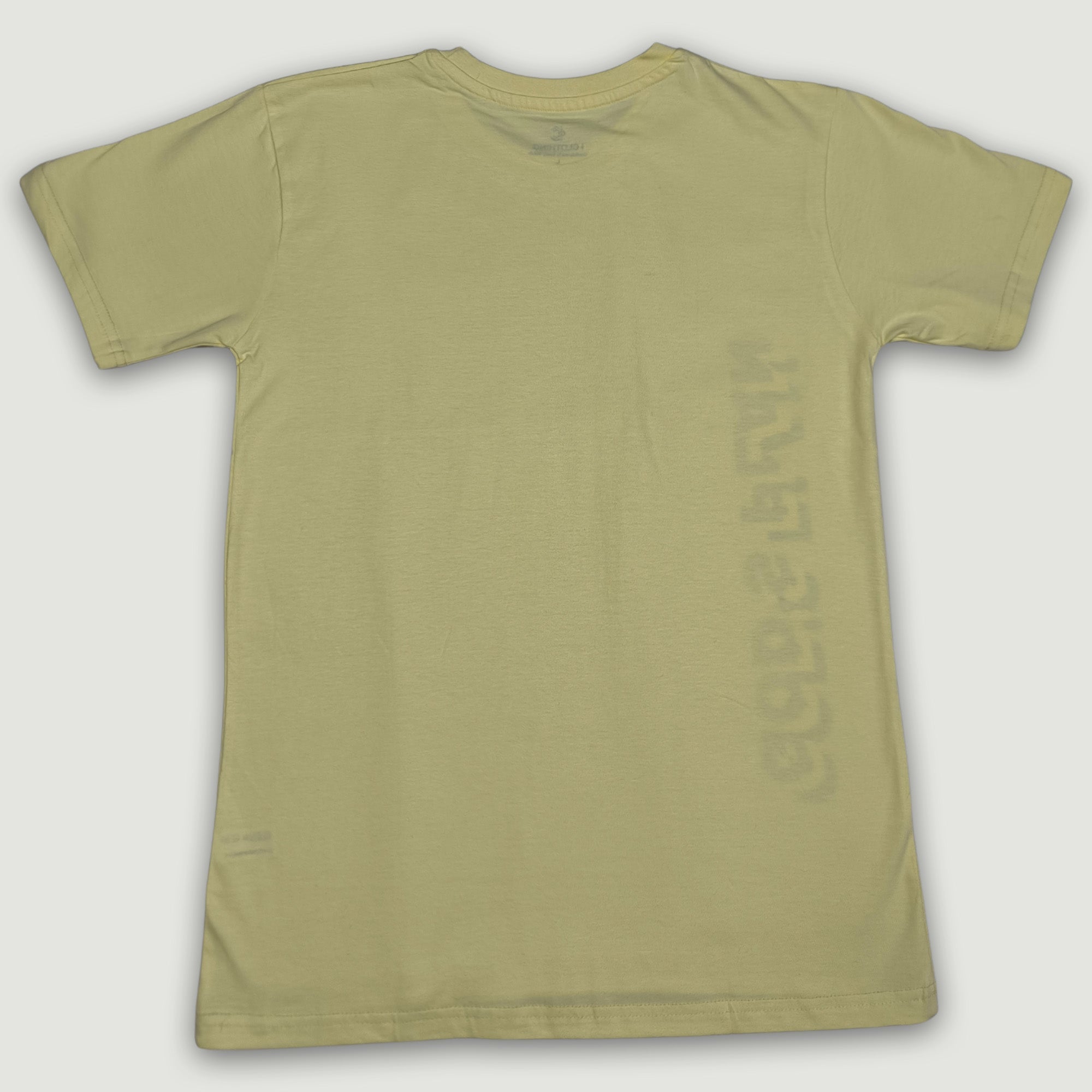 Men Muscle Fit Stretch T-Shirt - Khaki